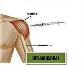 intramuscular